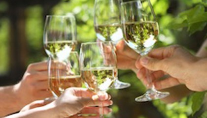 alkohol-auswirkungen-koerper